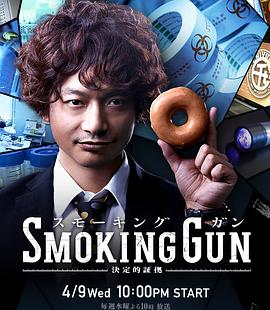 SmokingGun决定性证据海报剧照