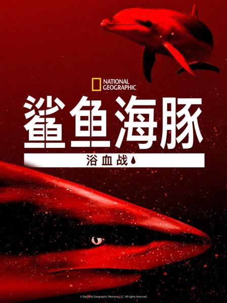 2018纪录片《鲨鱼海豚浴血战》迅雷下载_中文完整版_百度云网盘720P|1080P资源