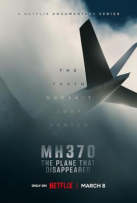 MH370：消失的航班映画