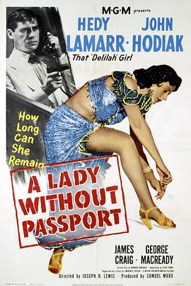 没有护照的女人映画