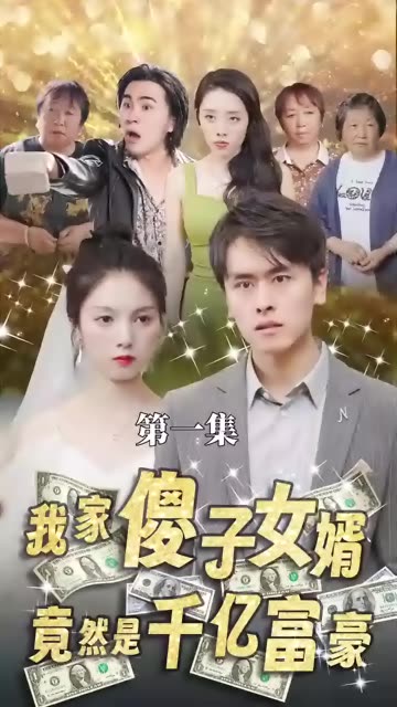 我的傻子女婿是千亿富豪映画