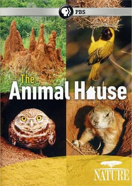 Thiên nhiên: Ngôi nhà của động vật