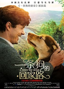 一条狗的回家路映画