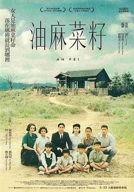 油麻菜籽映画