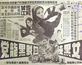 女黑侠血战黑龙党粤语映画