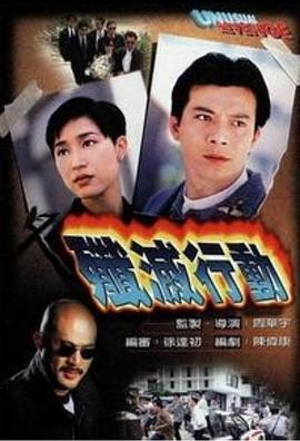 歼灭行动粤语映画