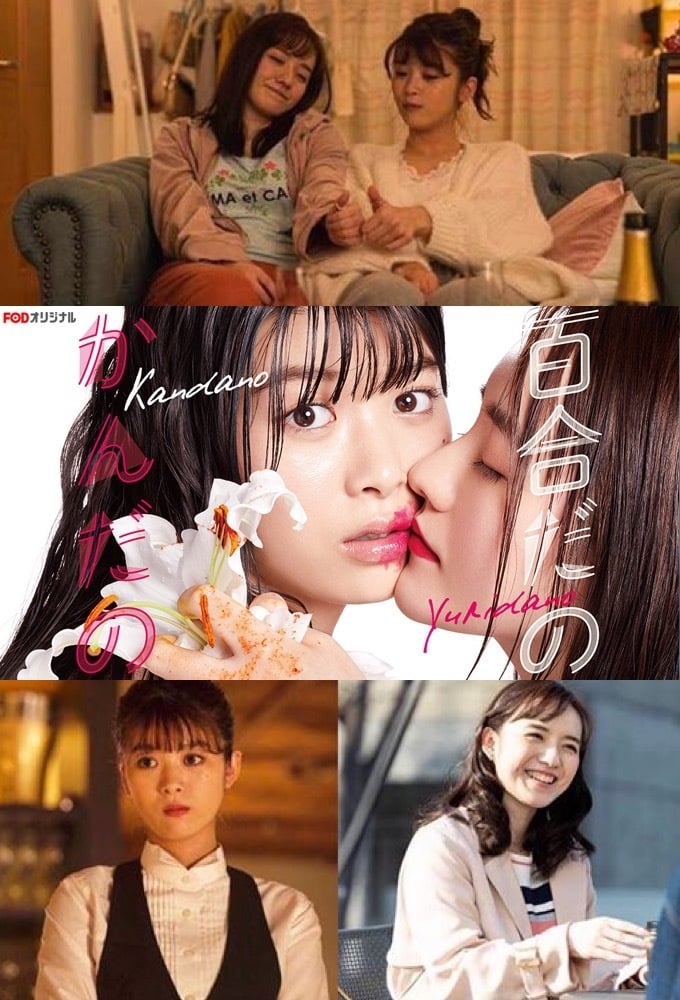 百合与直觉映画