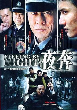 夜奔2007全集在线观看