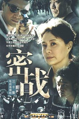 密战2009映画