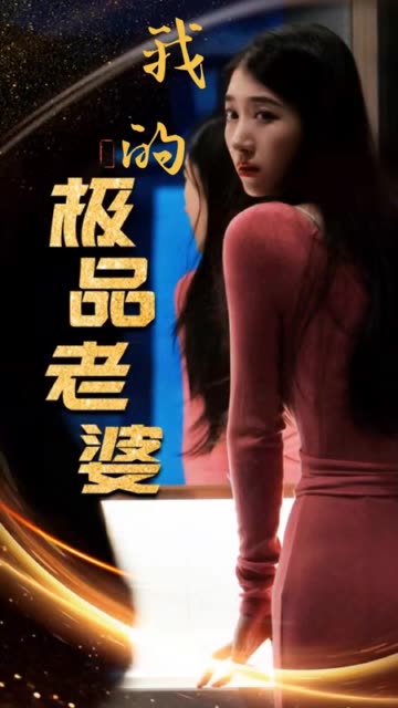 我的极品老婆映画