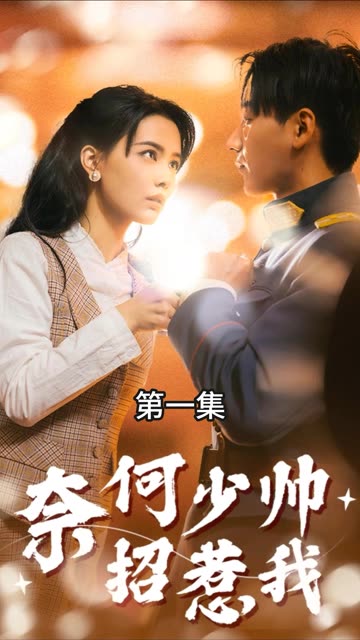 奈何少帅招惹我映画