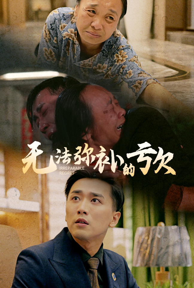 无法弥补的亏欠映画