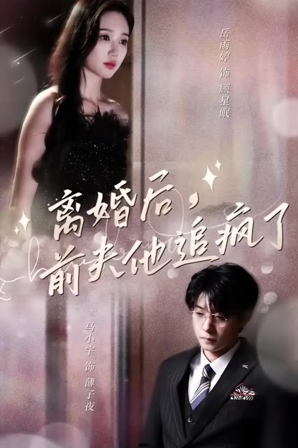 离婚后，前夫他追疯了今夜星光璀璨映画