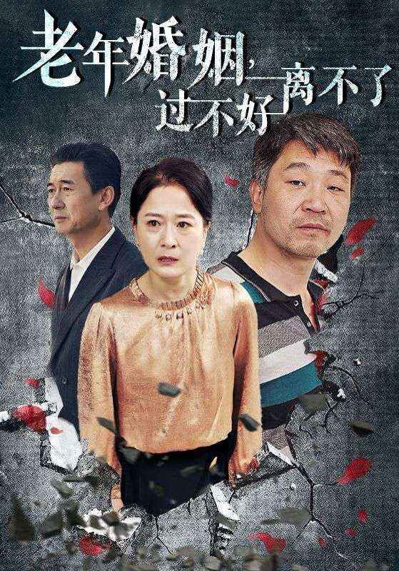 老年婚姻过不好离不了映画