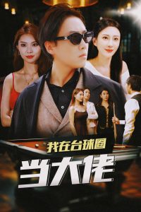 我在台球圈当大佬映画