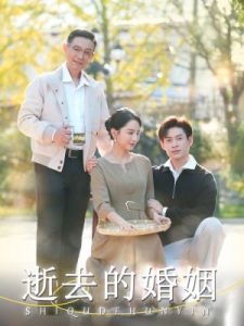 逝去的婚姻映画