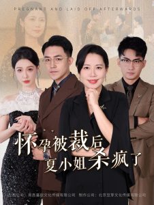 怀孕被裁后夏小姐杀疯了映画