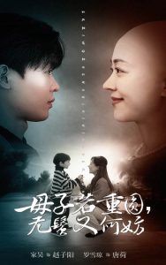 母子若重圆无鬓又何妨映画