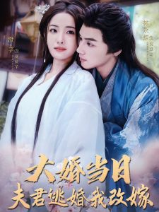 大婚当日夫君逃婚我改嫁映画