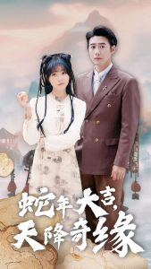 蛇年大吉天降奇缘映画