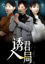 诱君入局映画