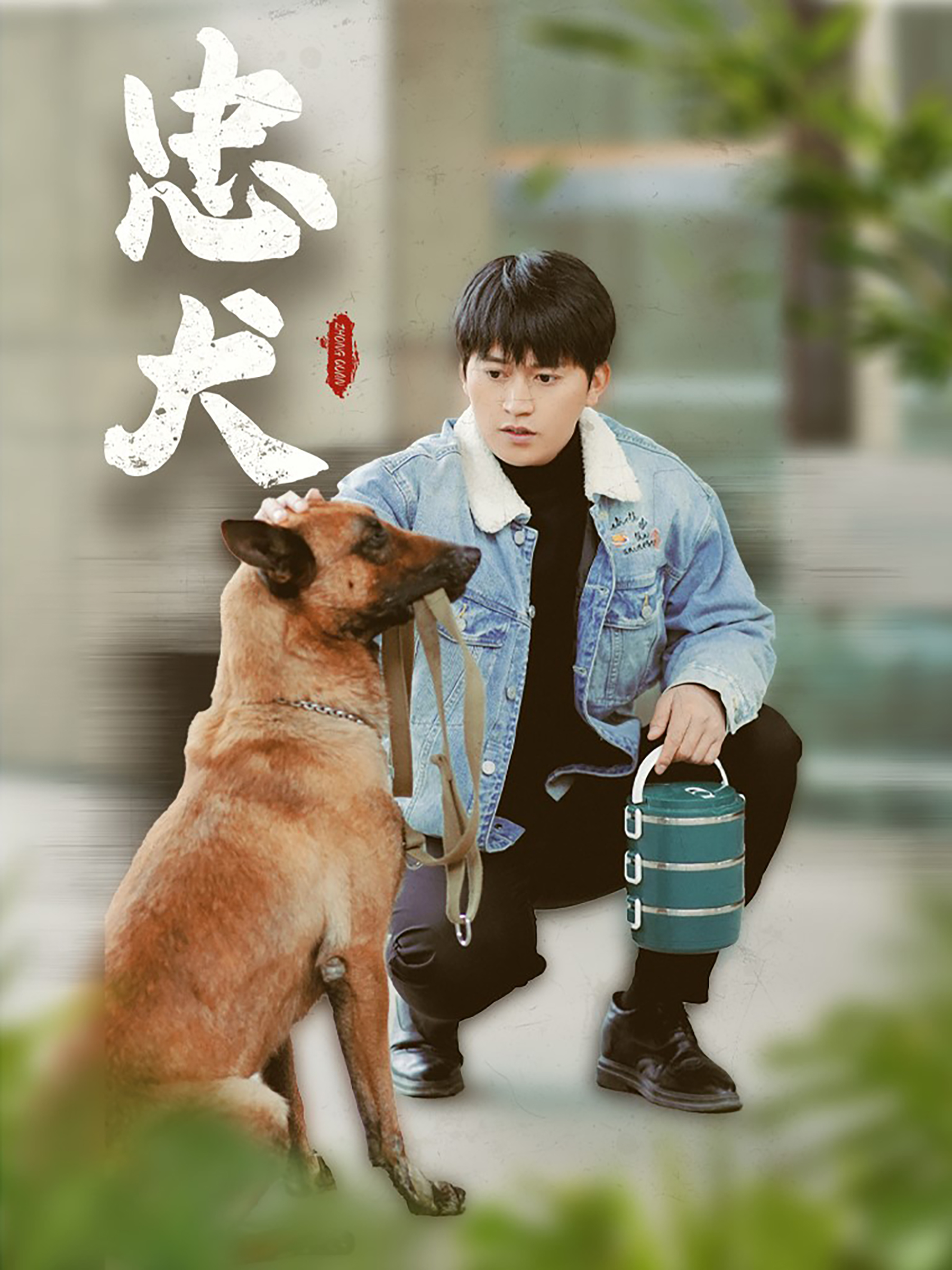 忠犬短剧映画