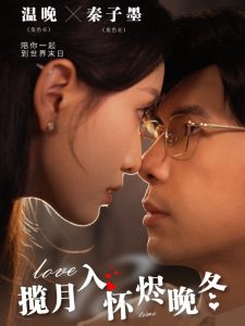 揽月入怀烬晚冬映画