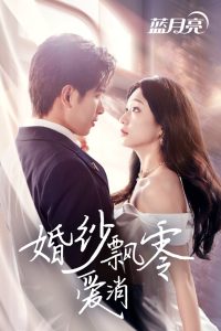 婚纱飘零爱消弭映画